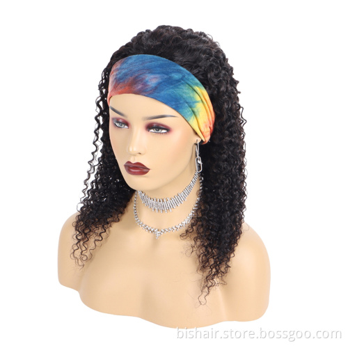 100% Human Hair Virgin Curly Wigs For Black Women Wigs Deep Curly Black Afro
